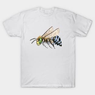 Australian Blue-banded Bee T-Shirt